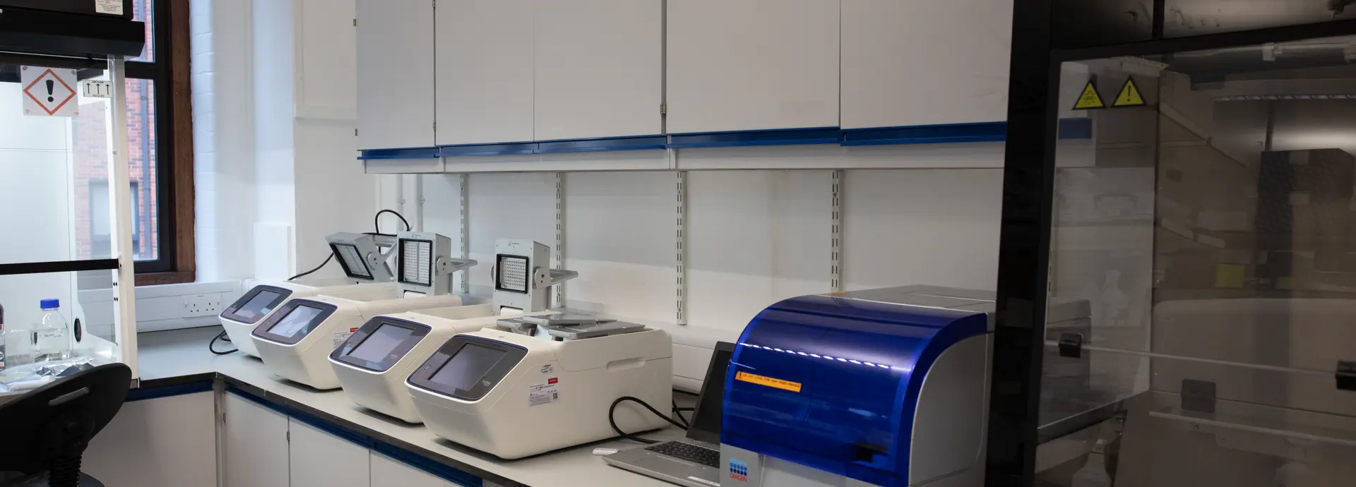 Amorosolab