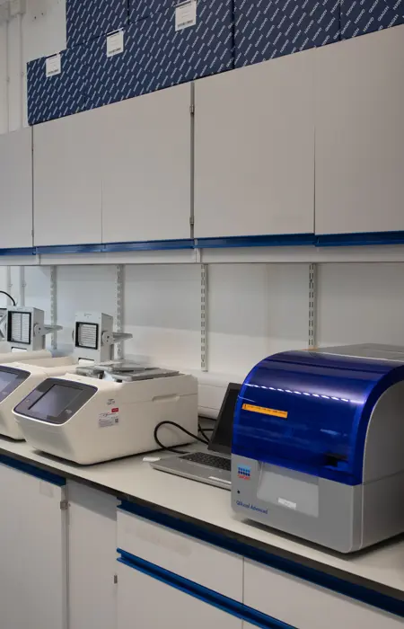 Amorosolab