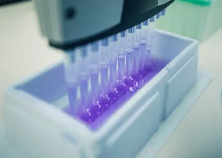 Pipette and balance calibration