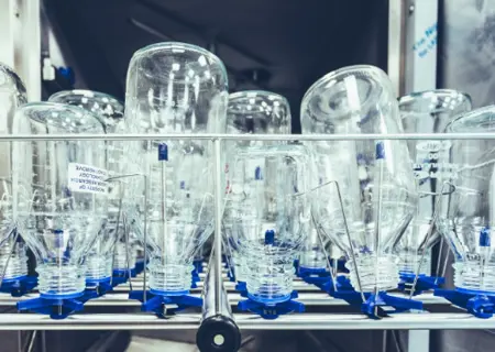 Sterilisation services